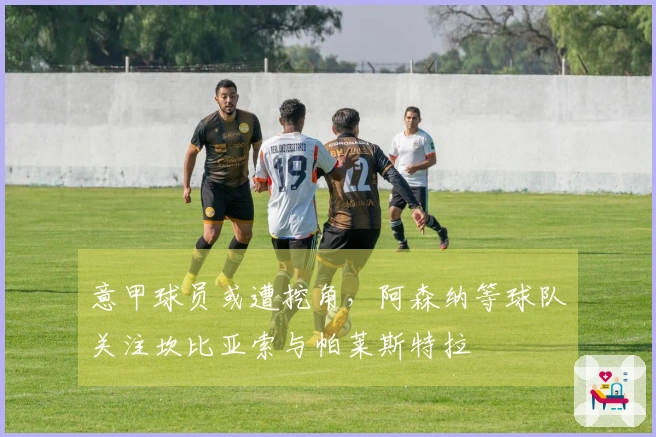 意甲球员或遭挖角，阿森纳等球队关注坎比亚索与帕莱斯特拉