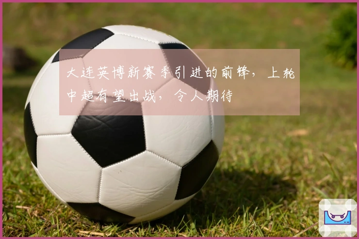 大连英博新赛季引进的前锋，上轮中超有望出战，令人期待