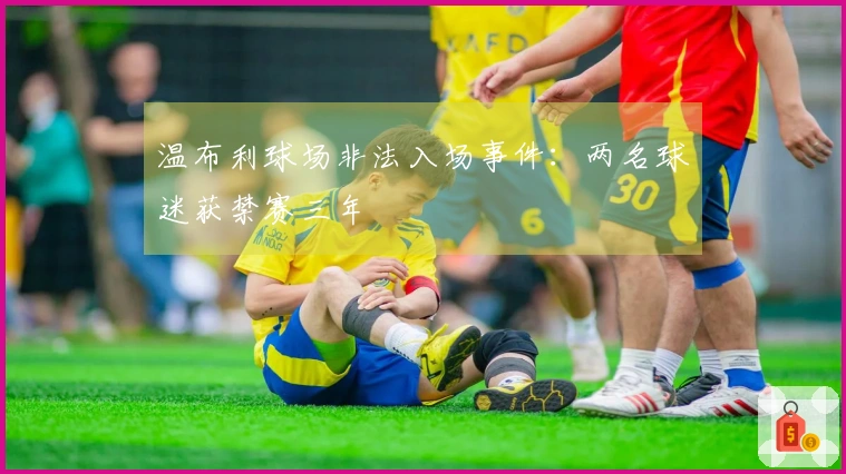 温布利球场非法入场事件：两名球迷获禁赛三年